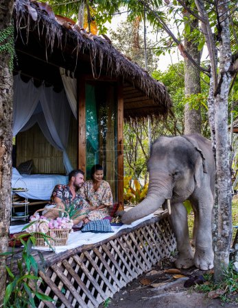Téléchargez les photos : A couple visiting an Elephant sanctuary in Chiang Mai Thailand - en image libre de droit
