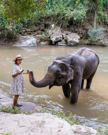 Téléchargez les photos : Asian woman visiting an Elephant sanctuary in Chiang Mai Thailand, a girl with an elephant in the jungle of Chiang Mai Thailand. - en image libre de droit