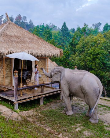 Téléchargez les photos : Asian woman visiting an Elephant sanctuary in Chiang Mai Thailand, a girl with an elephant in the jungle of Chiang Mai Thailand. - en image libre de droit