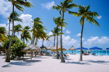 Photo for Palm Beach Aruba Caribbean, white long sandy beach with palm trees at Aruba Antilles - Royalty Free Image