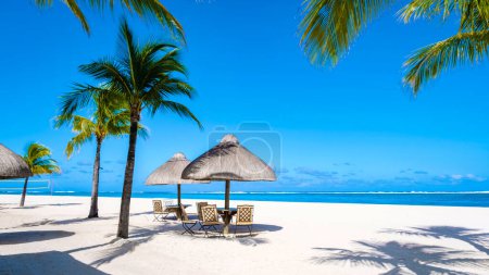 Foto de Tropical beach with palm trees and white sand blue ocean and beach beds with umbrellas, sun chairs, and parasols under a palm tree at a tropical beach. Mauritius Le Morne beach - Imagen libre de derechos