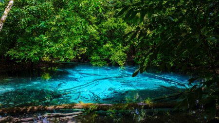 Téléchargez les photos : Emerald pool lake Blue pool lake Krabi Thailand mangrove forest Krabi Thailand. - en image libre de droit