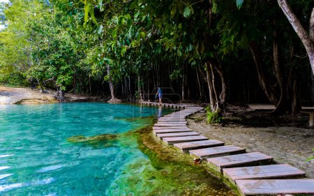 Téléchargez les photos : Emerald pool and Blue pool in Krabi Thailand, tropical lagoon in a national park with trees, and mangroves with crystal clear water - en image libre de droit