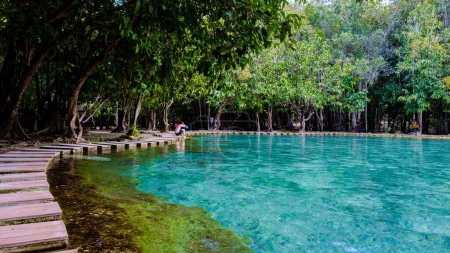 Photo for Emerald pool and Blue pool in Krabi Thailand, tropical lagoon in a national park with trees, and mangroves with crystal clear water - Royalty Free Image