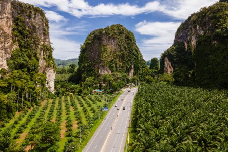 Photo for Road with limestone cliffs and rocks and a palm oil plantation in Krabi Thailand. - Royalty Free Image