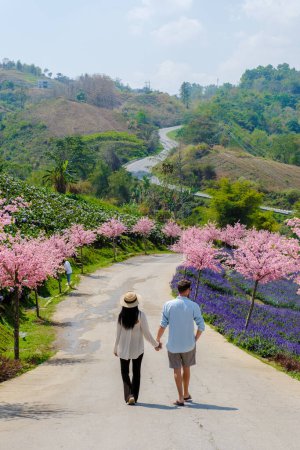 Téléchargez les photos : Hommes et femmes Jardin avec des fleurs dans les montagnes de Phetchabun Kha Kho Thaïlande par une journée ensoleillée - en image libre de droit