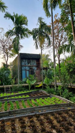 Foto de Casa de madera rodeada de palmeras y un huerto en el campo. cabaña en selva tropical - Imagen libre de derechos