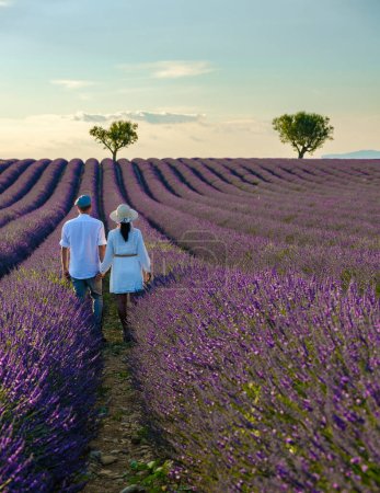 Photo for Provence, Lavender field France, Valensole Plateau, a colorful field of Lavender Valensole Plateau, Provence, Southern France Couple men and women on vacation - Royalty Free Image