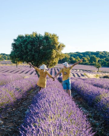 Téléchargez les photos : Ardèche, Champ de lavande France, un champ coloré de lavande Sud de la France Couple hommes et femmes en vacances - en image libre de droit