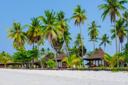 Foto de Koh Mook isla tropical en el mar de Andamán en Tailandia, playa tropical con arena blanca y turquesa océano de color con palmeras de coco. bungalows de madera en la playa - Imagen libre de derechos