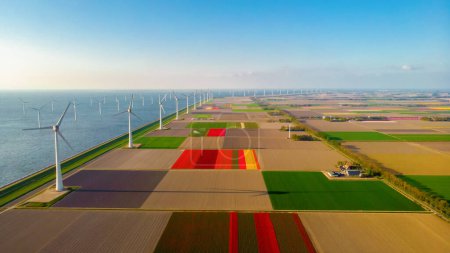 Foto de Parque de molinos de viento con cielo azul y campo agrícola verde, y parque de turbinas de molinos de viento en el océano. Países Bajos Europa el parque eólico más grande de los Países Bajos - Imagen libre de derechos