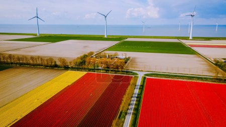 Foto de Parque de molinos de viento con un cielo azul y campo agrícola verde con tulipanes coloridos, Países Bajos Europa el parque eólico más grande de los Países Bajos - Imagen libre de derechos