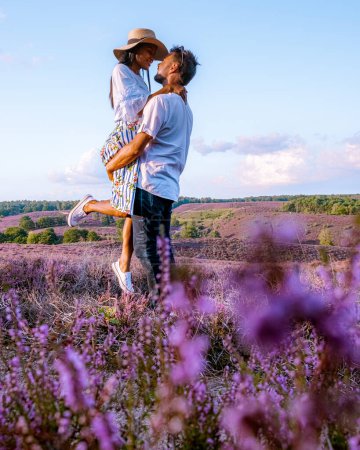 Téléchargez les photos : Couple d'hommes et de femmes marchant dans les prairies, Parc national de Posbank Veluwezoom, champs de bruyère en fleurs pendant le lever du soleil au Veluwe aux Pays-Bas, collines violettes de la Posbank Pays-Bas - en image libre de droit