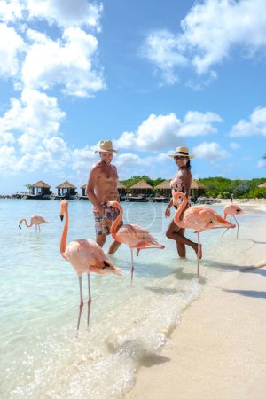 Aruba Beach with pink flamingos at the beach, a couple of men and women on the beach with pink flamingos at Aruba Island Caribbean during summer vacation