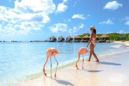 Photo for Asian women on the beach with pink flamingos at Aruba, flamingo at the beach in Aruba Island Caribbean. - Royalty Free Image