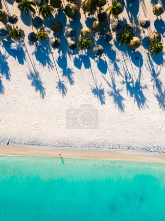Téléchargez les photos : Palm Beach Aruba Caraïbes, longue plage de sable blanc avec palmiers aux Antilles Aruba. - en image libre de droit