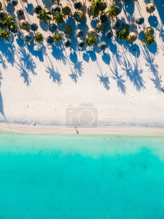 Foto de Palm Beach Aruba Caribe, larga playa de arena blanca con palmeras y un océano azul en las Antillas de Aruba. - Imagen libre de derechos