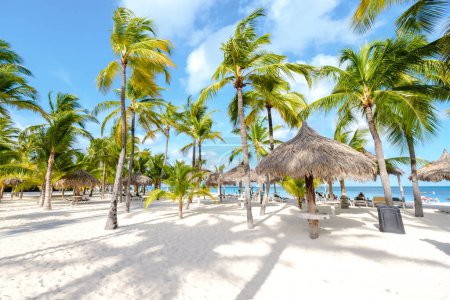 Foto de Palm Beach Aruba Caribbean Island, playa de arena blanca con palmeras en las Antillas de Aruba. - Imagen libre de derechos