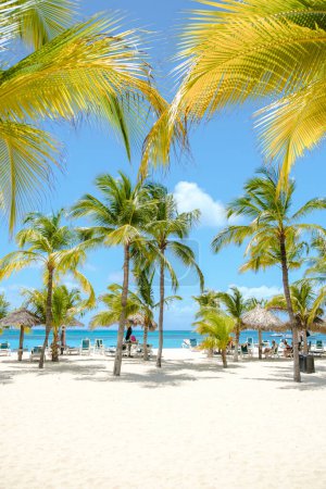 Foto de Palm Beach Aruba Caribe, larga playa de arena blanca con palmeras y un océano azul en las Antillas de Aruba. - Imagen libre de derechos