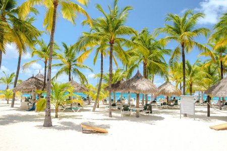 Foto de Palm Beach Aruba Caribe, larga playa de arena blanca con palmeras en las Antillas de Aruba. - Imagen libre de derechos