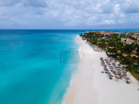 Foto de Eagle Beach Aruba, Palmeras en la costa de Eagle Beach en Aruba, una vista aérea de drones en la playa - Imagen libre de derechos