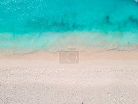 Foto de Eagle Beach Aruba, Palmeras en la costa de Eagle Beach en Aruba, una vista aérea de drones en la playa desde arriba - Imagen libre de derechos