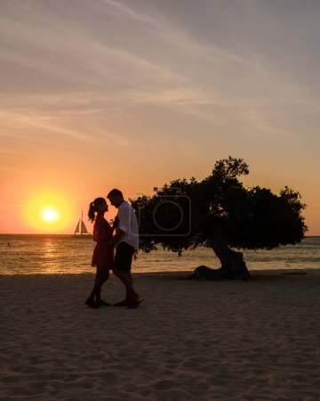 Téléchargez les photos : Eagle Beach Aruba, Divi Divi Arbres sur le rivage d'Eagle Beach à Aruba, un couple d'hommes, et une femme sur la plage d'Aruba pendant le coucher du soleil - en image libre de droit