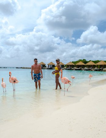 Téléchargez les photos : Plage d'Aruba avec flamants roses à la plage, un couple d'hommes et de femmes sur la plage avec flamants roses à l'île d'Aruba Caraïbes pendant les vacances - en image libre de droit