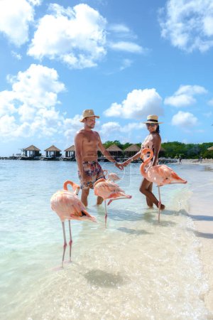 Photo for Aruba Beach with pink flamingos at the beach, a couple of men and women on the beach with pink flamingos at Aruba Island Caribbean during vacation - Royalty Free Image