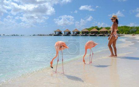 Photo for Women on the beach with pink flamingos at Aruba, flamingo at the beach in Aruba Island Caribbean. - Royalty Free Image