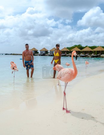Téléchargez les photos : Un couple d'hommes et de femmes sur la plage avec des flamants roses à Aruba Island Caribbean. - en image libre de droit