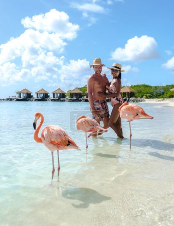 un par de hombres y mujeres en la playa con flamencos rosados en Aruba Island Caribbean.