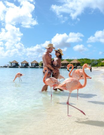 Téléchargez les photos : Un couple d'hommes et de femmes sur la plage avec des flamants roses à Aruba Island Caribbean. - en image libre de droit