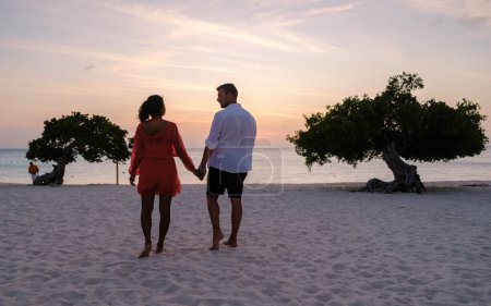 Téléchargez les photos : Divi Divi Arbres sur le rivage d'Eagle Beach à Aruba, un couple d'hommes, et une femme sur la plage d'Aruba pendant le coucher du soleil - en image libre de droit