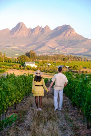Téléchargez les photos : Couple d'hommes et de femmes dans un paysage viticole au coucher du soleil avec des montagnes à Stellenbosch, près de Cape Town, Afrique du Sud. raisin sur la vigne dans le vignoble Western Cape Afrique du Sud - en image libre de droit