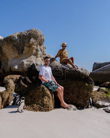 Téléchargez les photos : Boulders Beach à Simons Town, Cape Town, Afrique du Sud. Beaux pingouins. Colonie de pingouins africains sur une plage rocheuse en Afrique du Sud. un couple d'hommes et de femmes visitant les pingouins du Cap - en image libre de droit