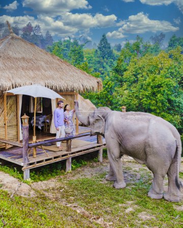 Foto de A couple visiting an Elephant sanctuary in Chiang Mai Thailand, an Elephant farm in the mountains jungle of Chiang Mai Thailand. - Imagen libre de derechos