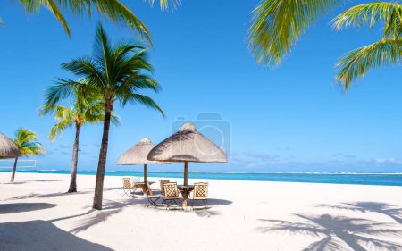 Foto de Playa Le Morne Mauricio Playa tropical con palmeras y camas de arena blanca azul océano y playa con sombrillas, tumbonas y sombrillas bajo una palmera - Imagen libre de derechos