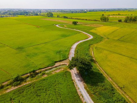 Foto de Arrozales de arroz verde en la región central de Tailandia Suphanburi, vista aérea de drones de arrozales verdes en Tailandia - Imagen libre de derechos