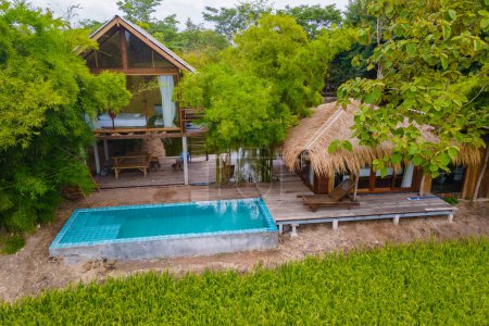 Téléchargez les photos : Cabane de bambou ferme familiale avec rizières vertes en Thaïlande centrale région de Suphanburi, drone vue aérienne des rizières vertes en Thaïlande pendant la saison des récoltes - en image libre de droit