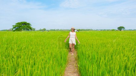 Photo for Aian woman on vacation in Thailand walking on a countryside road in the middle of green rice paddy fields in Central Thailand Suphanburi region, drone aerial view of green rice fields in Thailand - Royalty Free Image