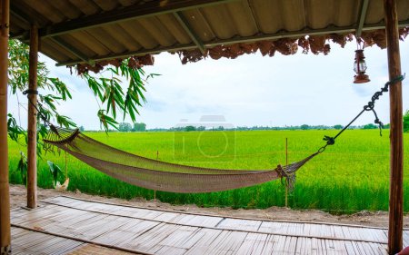 Téléchargez les photos : Cabane de bambou ferme familiale avec rizières vertes en Thaïlande centrale région de Suphanburi, hamac devant une cabane de bambou, vue de la chambre à coucher dans les rizières - en image libre de droit