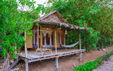 Téléchargez les photos : Cabane de bambou ferme familiale avec rizières vertes en Thaïlande centrale région de Suphanburi, - en image libre de droit
