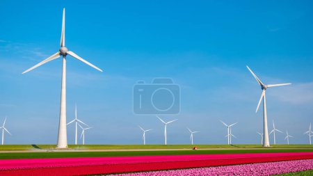 Foto de Turbinas de molinos de viento con un cielo azul, parque de molinos de viento en la vista aérea del océano con turbina eólica Flevoland Países Bajos Ijsselmeer. Producción de energía verde en los Países Bajos - Imagen libre de derechos