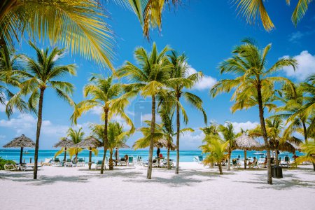 Téléchargez les photos : Palm Beach Aruba Caraïbes, longue plage de sable blanc avec palmiers aux Antilles Aruba - en image libre de droit