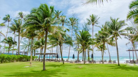 Foto de White Beach Koh Kood Island Thailand Trat, sillas de playa en una playa tropical con palmeras y un océano turquesa en un día soleado, - Imagen libre de derechos