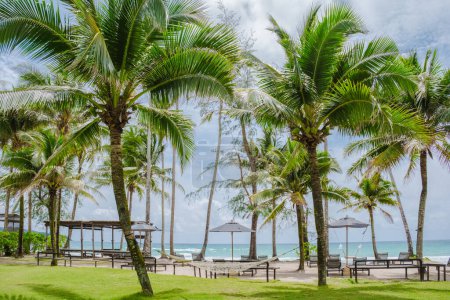 Téléchargez les photos : White Beach Koh Kood Island Thaïlande Trat, chaises longues sur une plage tropicale avec des palmiers et une turque couleur océan par une journée ensoleillée, - en image libre de droit
