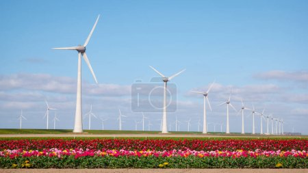 Photo for Windmill in a rural area during sunset with flowers in the foreground, green energy concept - Royalty Free Image
