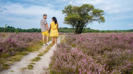 Téléchargez les photos : Champs de bruyère en fleurs, bruyère rose pourpre en fleurs, couple d'hommes et de femmes marchant au chauffage en fleurs sur le parc Veluwe Zuiderheide, Pays-Bas. - en image libre de droit