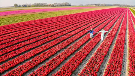 Foto de Un par de hombres y mujeres en los campos de flores visto desde arriba con un dron en los Países Bajos, los campos de flores en los Países Bajos durante la primavera - Imagen libre de derechos